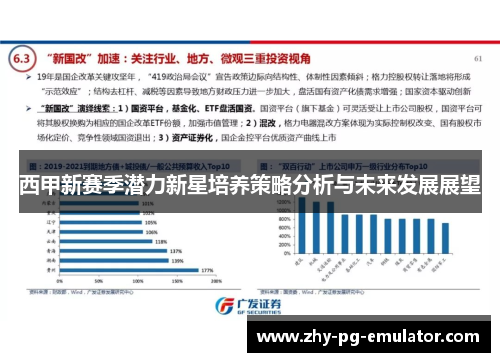 西甲新赛季潜力新星培养策略分析与未来发展展望