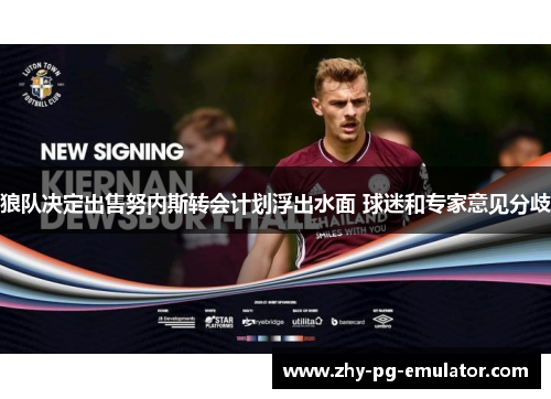 狼队决定出售努内斯转会计划浮出水面 球迷和专家意见分歧