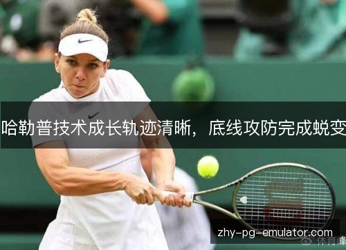 哈勒普技术成长轨迹清晰,底线攻防完成蜕变 哈勒普技术成长轨迹清晰,底线攻防完成蜕变